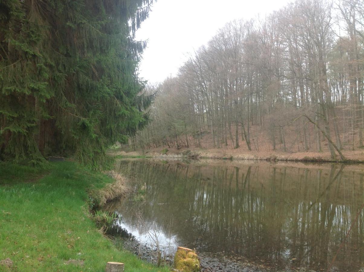 Gite Du Creux De La Goutte Xertigny Esterno foto