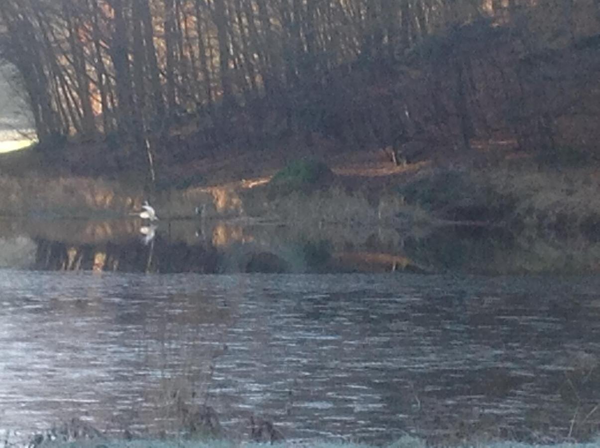 Gite Du Creux De La Goutte Xertigny Esterno foto